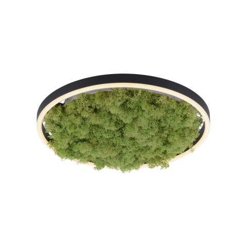 15391-66 LAMPA SUFITOWA GREEN RITUS 15391-66 LAMPA SUFITOWA GREEN RITUS