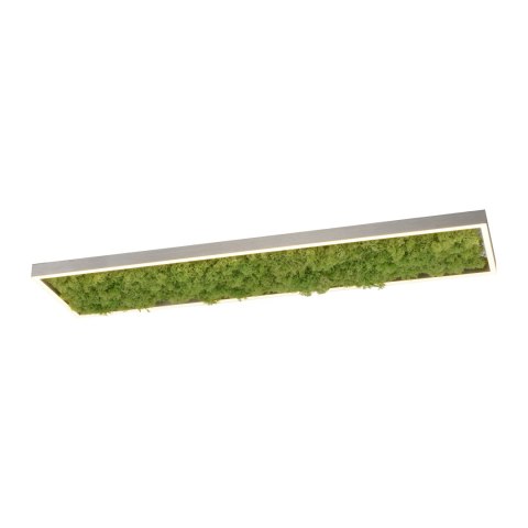 15623-66 LAMPA SUFITOWA GREEN KNUT 15623-66 LAMPA SUFITOWA GREEN KNUT