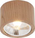3010103 OAK SPOT