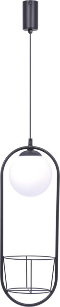 5003 PLANT 1 PENDANT LAMP