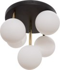 5645 ALI LAMPA SUFITOWA