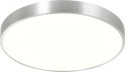 CL12100008-SL SIERRA LAMPA SUFITOWA SREBRNA/SILVER