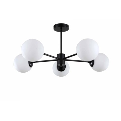 Lampa wisząca Roma 5xE14 czarna LP-1345/5P BK Lampa wisząca Roma 5xE14 czarna LP-1345/5P BK