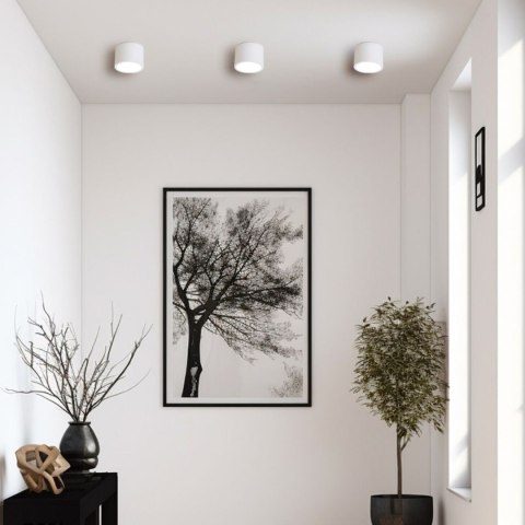 Kendal GX53 oprawa natynkowa IP65 biała Kendal GX53 oprawa natynkowa IP65 biała
