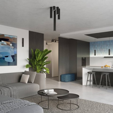 Lampa wisząca KARBON 1 czarny Lampa wisząca KARBON 1 czarny