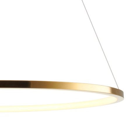 Lampa wisząca CIRCLE SLIM 60 LED złoty 60 cm Lampa wisząca CIRCLE SLIM 60 LED złoty 60 cm