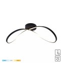 19600C-BK ERDA LAMPA SUFITOWA CZARNA/BLACK