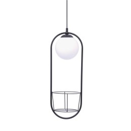 5003 PLANT 1 PENDANT LAMP