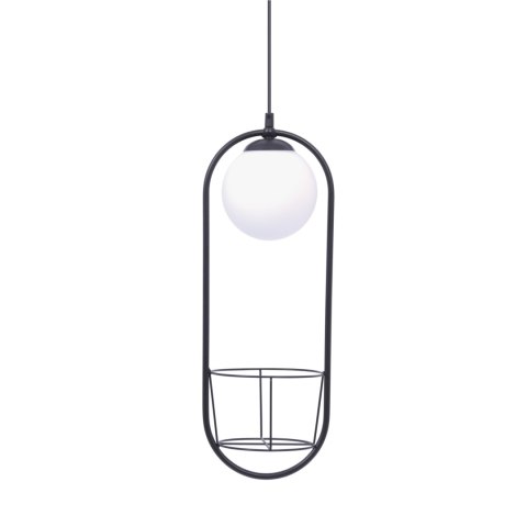 5003 PLANT 1 PENDANT LAMP 5003 PLANT 1 PENDANT LAMP