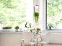 5003 PLANT 1 PENDANT LAMP