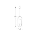 5003 PLANT 1 PENDANT LAMP