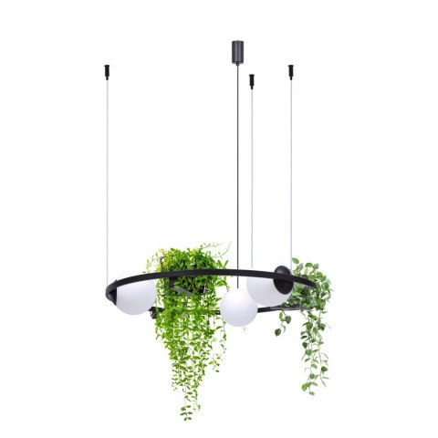 5005 PLANT 3 PENDANT LAMP 5005 PLANT 3 PENDANT LAMP