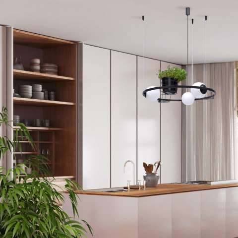 5005 PLANT 3 PENDANT LAMP 5005 PLANT 3 PENDANT LAMP