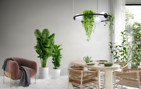 5005 PLANT 3 PENDANT LAMP 5005 PLANT 3 PENDANT LAMP