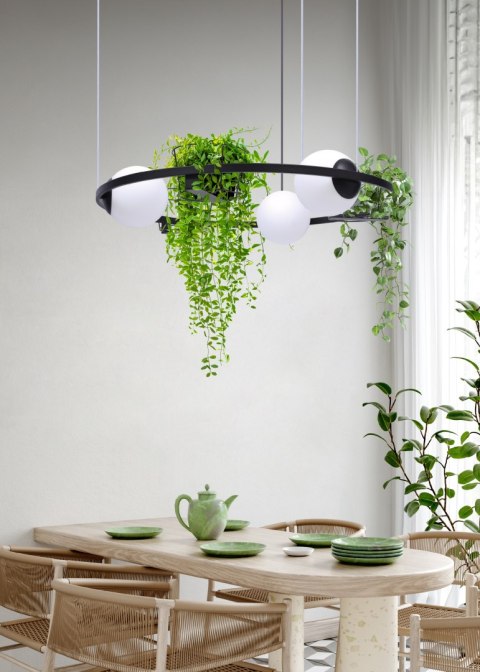 5005 PLANT 3 PENDANT LAMP 5005 PLANT 3 PENDANT LAMP