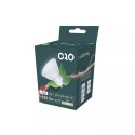 ORO-GU10-TOTO-5W-DW ŻARÓWKA