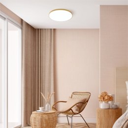 WM-C7300-M-G VERI LAMPA SUFITOWA ZŁOTA/GOLD