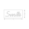 FM-NLB46 NEON SMILE LED