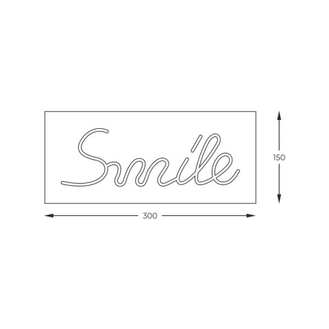 FM-NLB46 NEON SMILE LED FM-NLB46 NEON SMILE LED