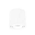 MAXLIGHT C0256 LAMPA SUFITOWA FIX 6W BIAŁA