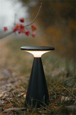 MAXLIGHT T0063 LAMPA STOŁOWA FUNGHI CZARNA IP44 MAXLIGHT T0063 LAMPA STOŁOWA FUNGHI CZARNA IP44
