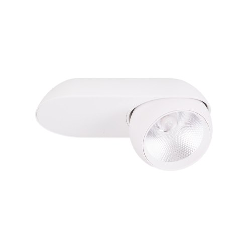 MAXLIGHT C0263 LAMPA SUFITOWA ZEUS 10W BIAŁA MAXLIGHT C0263 LAMPA SUFITOWA ZEUS 10W BIAŁA