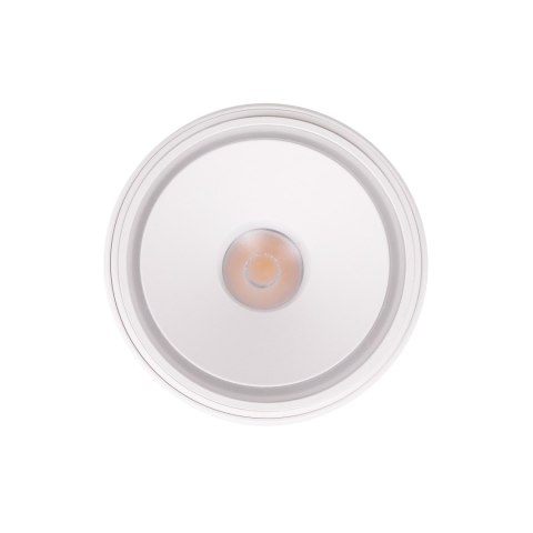 MAXLIGHT C0265 LAMPA SUFITOWA VECTOR 10W BIAŁA MAXLIGHT C0265 LAMPA SUFITOWA VECTOR 10W BIAŁA