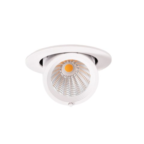 MAXLIGHT H0132 OPRAWA WPUSTOWA RUBIO 10W BIAŁA MAXLIGHT H0132 OPRAWA WPUSTOWA RUBIO 10W BIAŁA