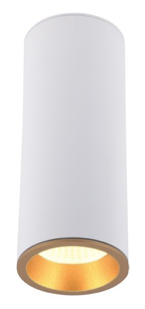 MAXLIGHT C0153 LAMPA SUFITOWA LONG BIAŁY 7W MAXLIGHT C0153 LAMPA SUFITOWA LONG BIAŁY 7W