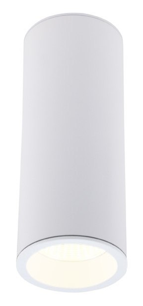 MAXLIGHT C0153 LAMPA SUFITOWA LONG BIAŁY 7W MAXLIGHT C0153 LAMPA SUFITOWA LONG BIAŁY 7W
