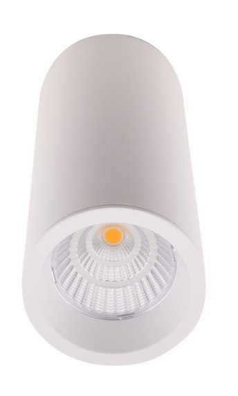 MAXLIGHT C0153 LAMPA SUFITOWA LONG BIAŁY 7W MAXLIGHT C0153 LAMPA SUFITOWA LONG BIAŁY 7W