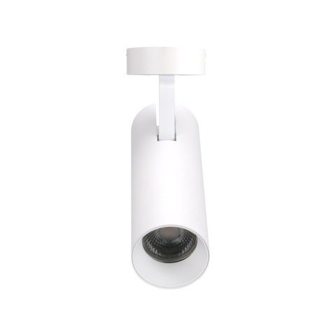 MAXLIGHT C0209 LAMPA SUFITOWA SHINEMAKER BIAŁA- ŚCIEMNIALNA MAXLIGHT C0209 LAMPA SUFITOWA SHINEMAKER BIAŁA- ŚCIEMNIALNA